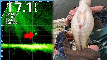 GARMIN LIVESCOPE JIG FISHING for CRAPPIE in SPRING!!