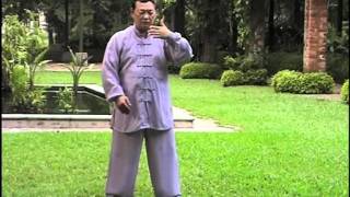 Download Lagu Master Ngiam:  Wild Goose Pai Da Qigong 大雁拍打健身功 MP3