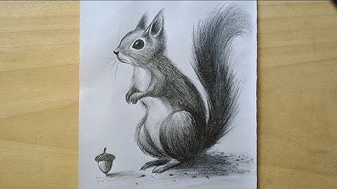 Squirrel Drawing Easy Step || Realistic Drawing Tutorial || Animal Easy Drawing for Beginners
