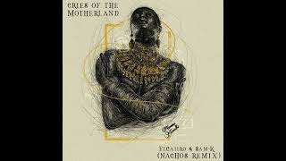 Cries Of The Motherland   featcaiiro  Samk nachos Remix