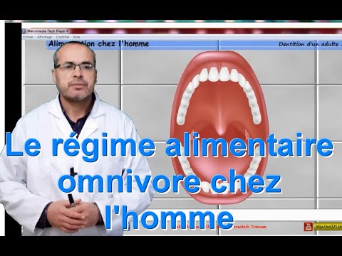 le  régime alimentaire omnivore chez l&rsquo;homme