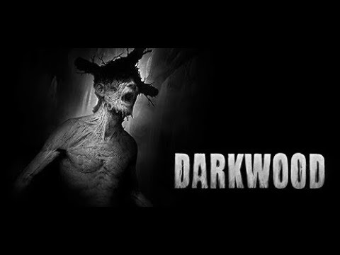 Video: Hororové Dobrodružství Shora Dolů Darkwood Přichází Do Steam Early Access