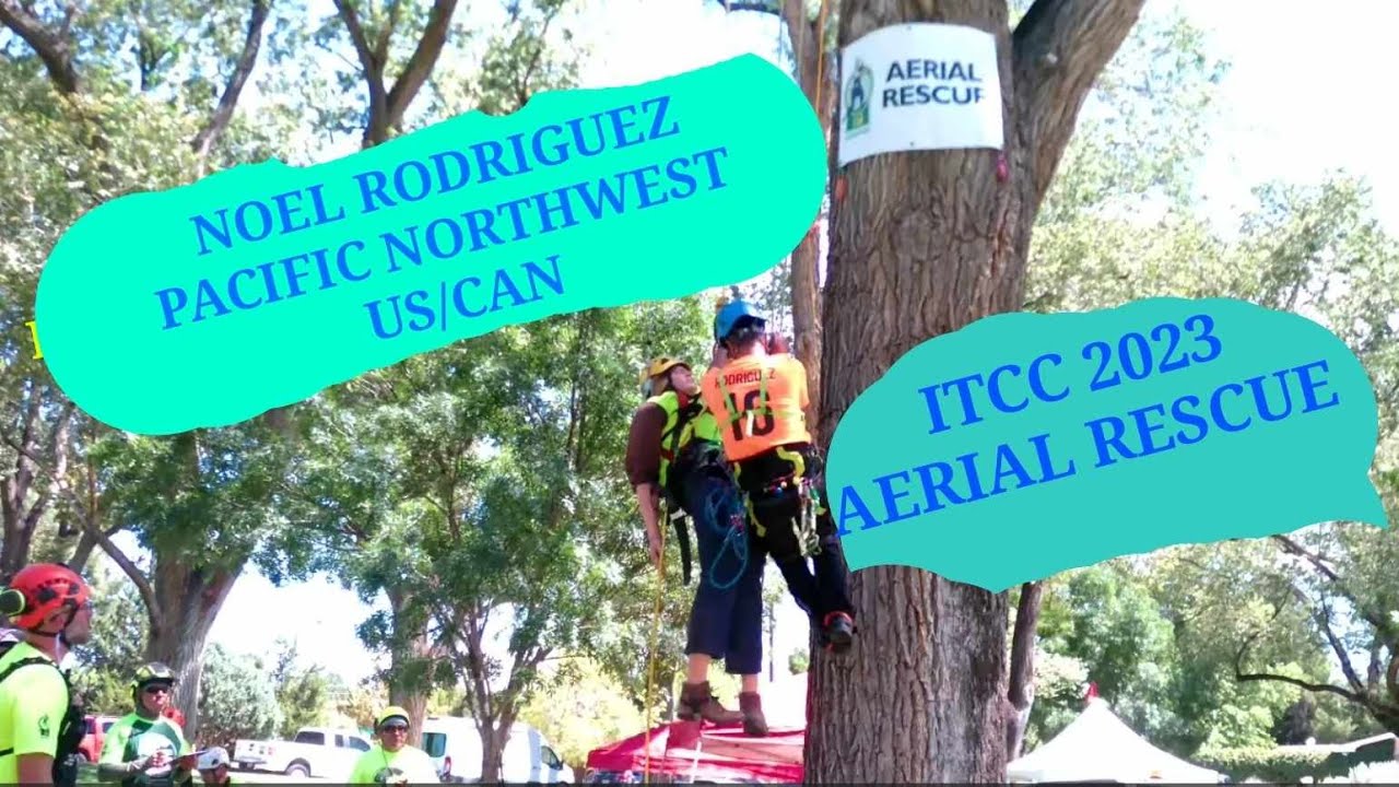 Noel Rodriguez ITCC 2023 International Tree Climbing Championships 2023 ...
