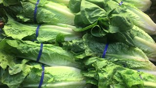 Romaine lettuce linked to recent E.coli outbreak, CDC says