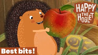 Hangry Happy 🍎 Happy The Hoglet 🦔 Best Bits 🔔 New On Timmy & Friends!