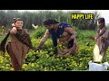 Village Life in Pakistan Punjab | Village Life Daily routine | Village Life Work