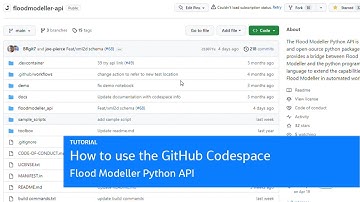 How to use the GitHub Codespace