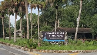 Myakka River State Park, Florida