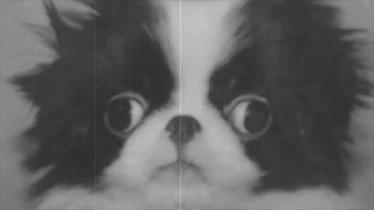 YattaLog - Insanos (piloto)