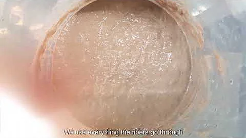 Eco friendly innovation: developing sustainable leather alternatives from banana plant waste.