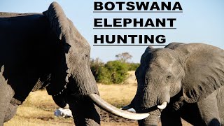 ELEPHANT BULL HUNT, BOTSWANA... screenshot 5