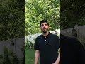 ونداء الأقصى أبكاني الأقصى فلسطين بدون موسيقى محمد نعنوع