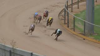 Gawler-07022020-Race-1