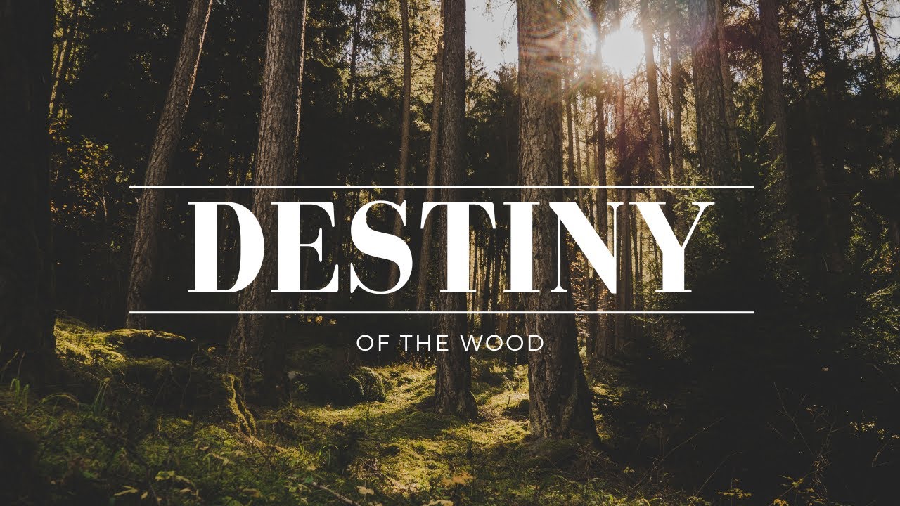 The Destiny of Wood