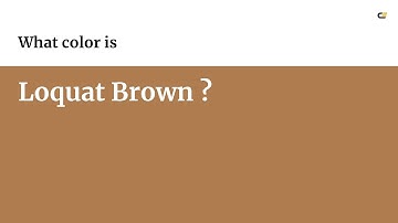 Loquat Brown color #ae7c4f hex color - Yellow color - Cool color ae7c4f