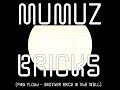 MuMuZ - BRICKS 1.1 (Pink Floyd - Another Brick In The Wall)