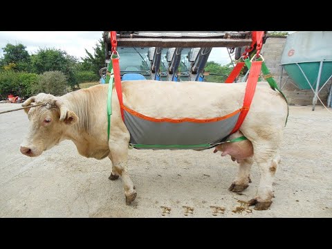 Modern Farming Machines That Are At Another Level ! | Zoom Tech HD