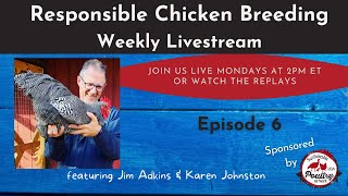Responsible Chicken Breeding - Episode 6