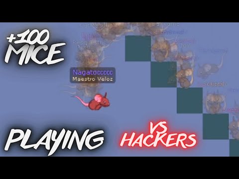 +100 MICE |
