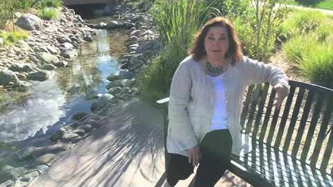 Barbara Sheehan-Zeidler: Creative and Caring Counseling: Intro Video