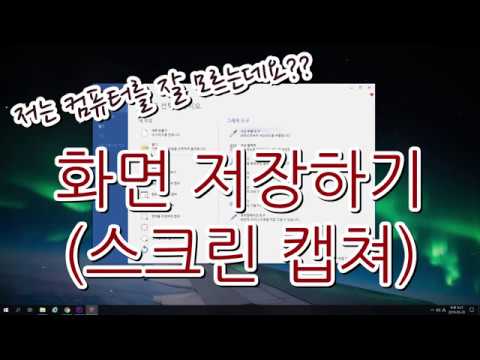 원하는 대로 화면 저장하기(스크린 캡처) picpick