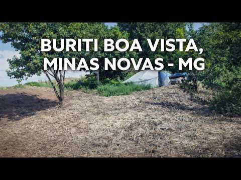 BURITI BOA VISTA, MINAS NOVAS (MG)
