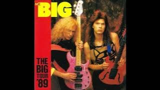 MR.BIG LIVE IN JAPAN 1989