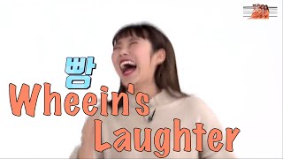 WheeIn's Laughter for 3mins Straight... with an Iconic One in the End 휘인 Laugh