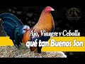 Ajo cebolla y vinagre para las Aves