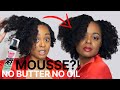 MOUSSE Can Do THIS?!! Fluffy Twist Out | No Butter No Oil Week 4