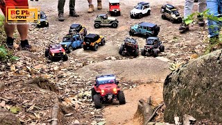 RC Car Team Trail - Forest Rock Crawling(TRX4, SCX10 II, RC4WD, BRX02, MST-CMX, Vanquish)