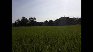 Download Lagu ACR FABULOUS 10 INCH MIDLE 2560||4 BIJI TES VOKAL LANTANG MP3