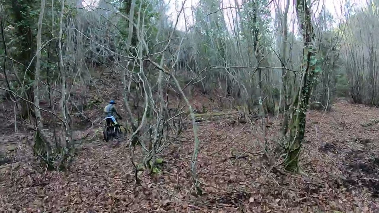 3  Giro Salta L'albero ( i moccoli)