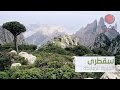 السياحة اليمنية