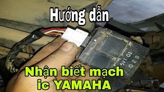 Ic ya SIRIUS zin theo xe B  P giá sỉ giá bán buôn  Thị Trường Sỉ