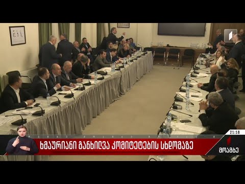 ხმაურიანი განხილვა კომიტეტების სხდომაზე