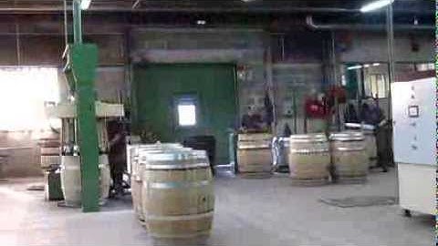 Automated Guided Vehicle (AGV) Platform Carrier