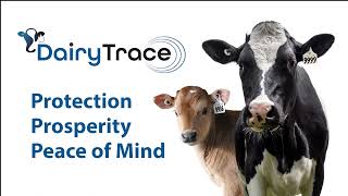 About DairyTrace