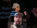 Bojkotta plågsamma djurförsök djur har också känslor