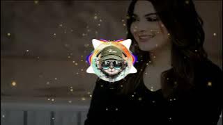 Dj industry baby jedag jedug viral tiktok new 2022 full bass (256k)