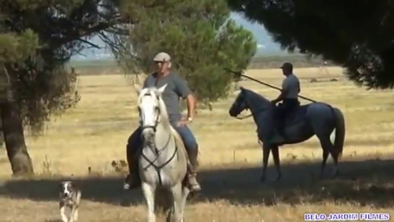 PURO RIBATEJO II DOCUMENTÁRIO NA GANADARIA 