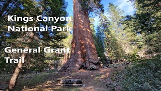 General Grant Tree Trail Kings Canyon