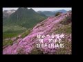 くじゅう平治岳のミヤマキリシマ 「坊がつる賛歌」にのせて