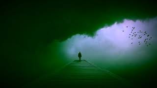 Borges - Selfish M808Mix