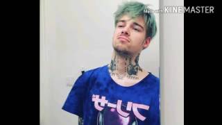 xD - Dat Adam