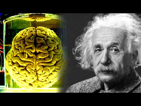 IQ Albert Einstein JAUH LEBIH RENDAH Dibandingkan Orang-Orang Jenius Ini..