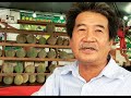 黑刺 - 荣登 “冠中冠” 宝座 ! Ochee Durian : The Real King Of Durian !