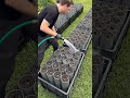 DIY Pipe Garden: The Ultimate Carrot Hack!