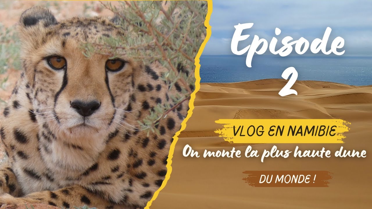 AFRIQUE Vlog 2 (sur 3) On grimpe la plus haute dune du monde