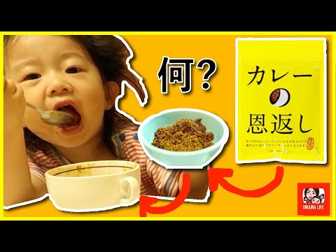 【カレーの恩返しとは!?】体調が悪い日の手抜きご飯